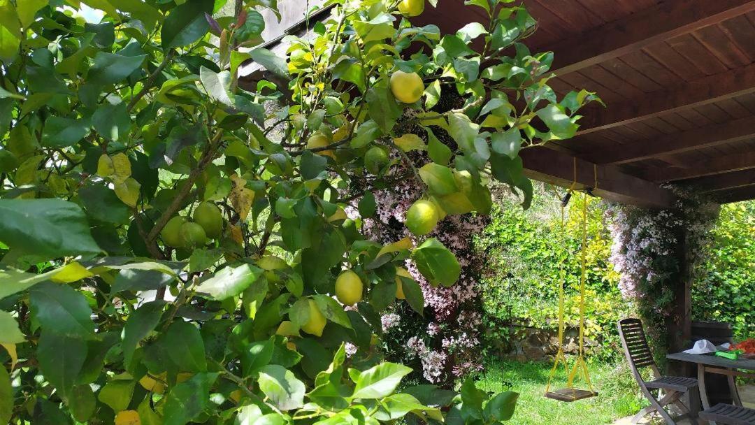 Casa Rural Goiena 문기아 외부 사진